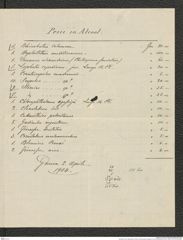 Nachlass Franz Steindachner, Brief von Brancaleone Borgioli an Franz Steindachner (02.04.1904), Inv.Nr. 45.06, Seite 2